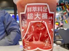 -野萃山·潮汕厚果汁(十亩地店)