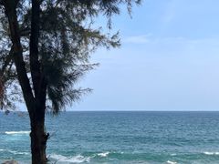 -广东惠东海龟国家级自然保护区