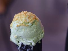 -蔻蔻椰·鲜萃椰子水(COCO Park店)