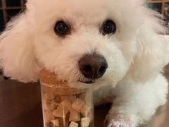 -能量健身私教工作室(1527店)