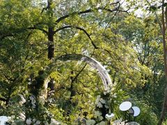 -怪咖·joker陈楠