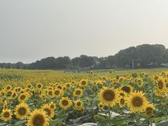-苏州湾体育公园