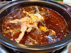 -金海椒罐罐鲢鱼(东方桂苑店)