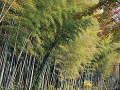 -苏州环秀晓筑养生度假村