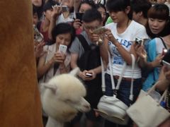 iphone_upload_pic-东浩兰生上海世博展览馆