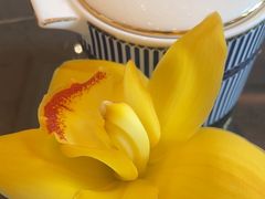 -The Drawing Room 闲逸廊(上海静安瑞吉酒店)