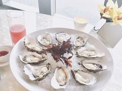 澳大利亚石蚝-广州四季酒店·佰鲜汇·现代法餐