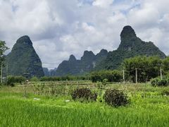 -明仕田园
