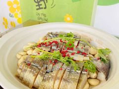 -单家老院·院子里的青岛菜(沙子口店)