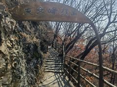 -天女山森林公园