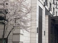 -杭州城中香格里拉大酒店