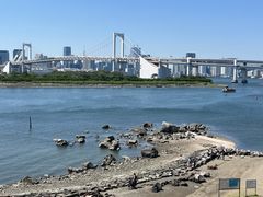 -台场海滨公园船码头