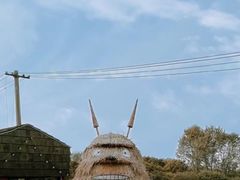 -嘉北郊野公园
