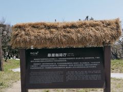 -悬崖咖啡厅