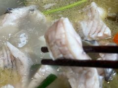 -七采菌园·野生菌石锅鱼(环城北路店)