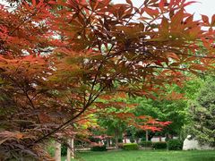 -中国政法大学(昌平校区)