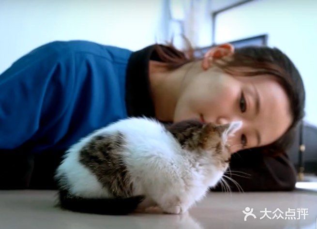 养，就要负责！这是人生中美好的羁绊。