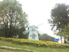 -铁山坪森林公园