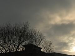 -南方医科大学第三附属医院