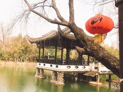 -包公祠