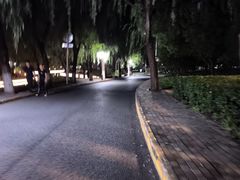 -南长河公园