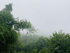 -香山公园