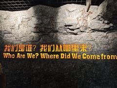 -国家自然博物馆