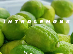 -introlemons(北京西单更新场店)