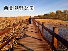 -西青郊野公园