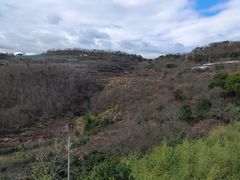 -许家山