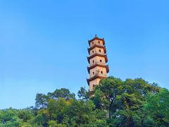 -江心屿景区