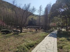 -宝界山林公园