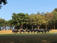 -广州雕塑公园