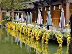 -杭州植物园