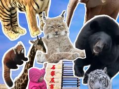 -石家庄市动物园