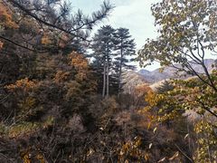 -玉渡山自然风景区