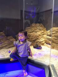 -未来动物城动物主题公园(大悦城店)