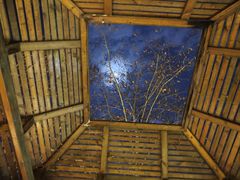 -春晖园度假酒店温泉