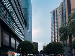 -Yan Ting宴庭中餐厅-长沙瑞吉酒店(运达店)