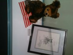 android_upload_pic-济州岛泰迪熊博物馆