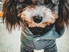 -重庆北碚万达广场