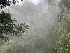 -云南屏边大围山国家公园