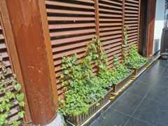 -濮园 · 四合院餐厅