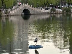-文瀛公园