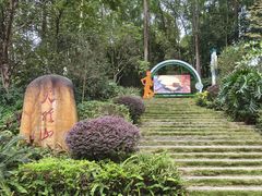 -火炉山森林公园