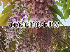 -青岛鑫江温德姆酒店