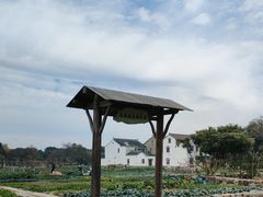 -林泷记·菜饭酒馆·秫香宴