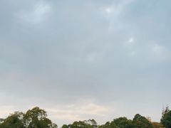 -上海滨江森林公园