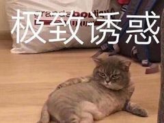-半悦牛排(龙湖西宸天街店)