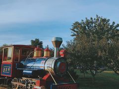 -永定河休闲森林公园